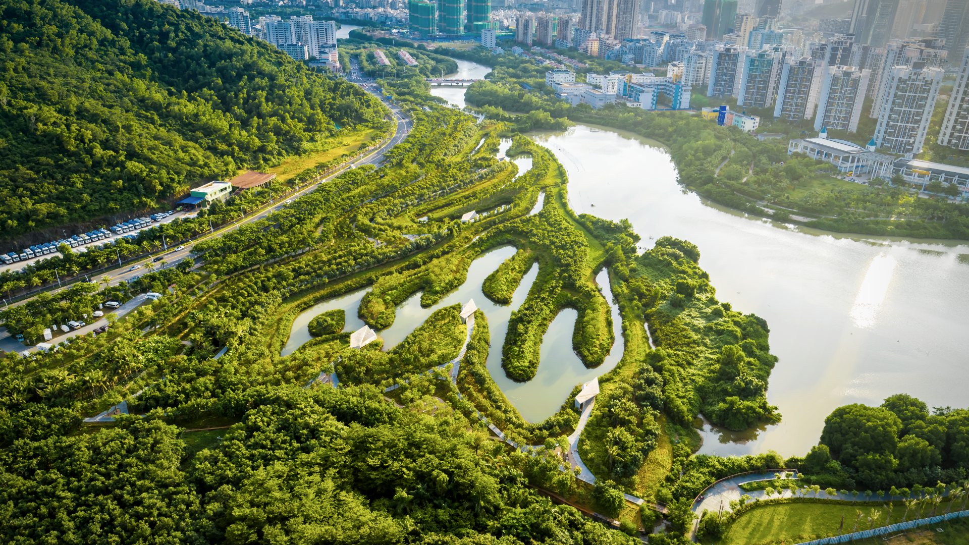 The Revolutionary Sponge Cities Model Is Helping Fight Climate Change 